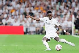 稀土矿资源 稀土矿资源