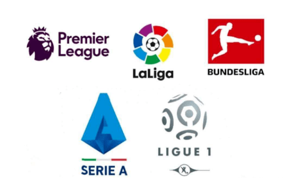 极的转变 极的转变